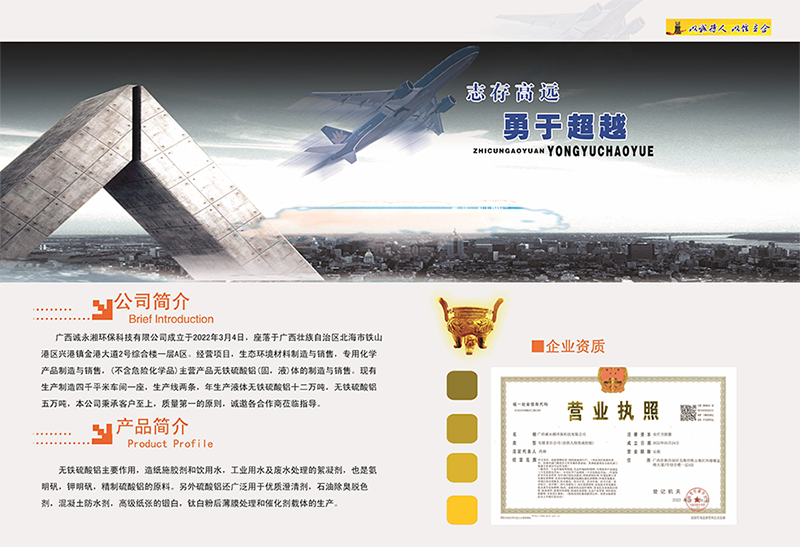 样本-2.png